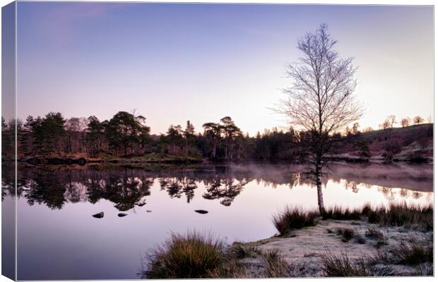 Dawn at Tarn Hows Canvas Print by Tim Hill