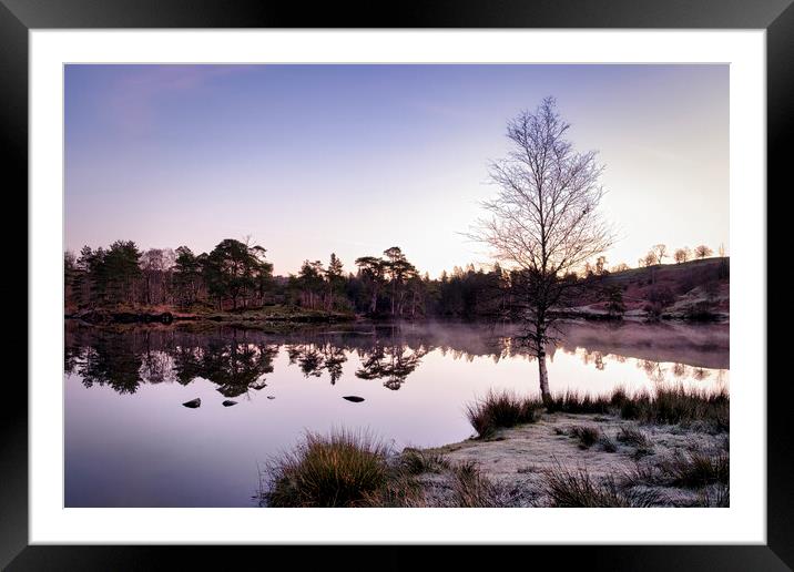Dawn at Tarn Hows Framed Mounted Print by Tim Hill