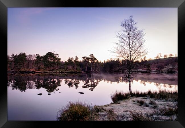Dawn at Tarn Hows Framed Print by Tim Hill