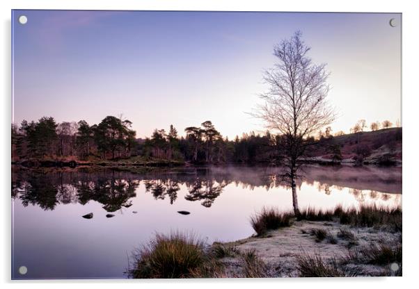 Dawn at Tarn Hows Acrylic by Tim Hill
