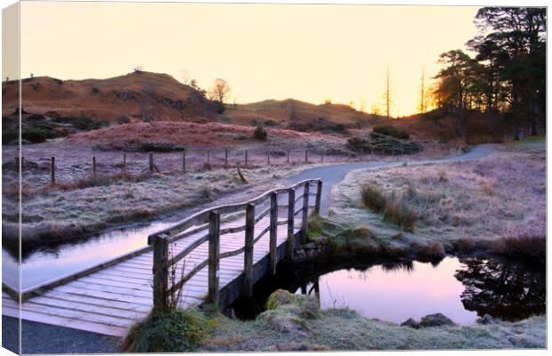 Into the Sunrise: Tarn Hows Lake District Canvas Print by Tim Hill