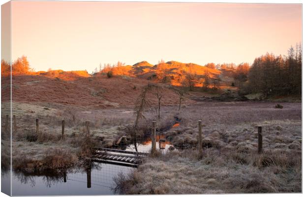 November Sunlight: Tarn Hows Lake District Canvas Print by Tim Hill