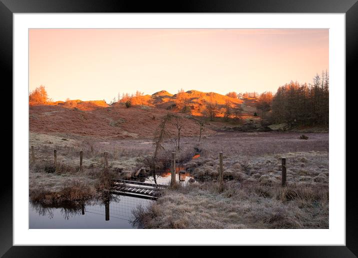 November Sunlight: Tarn Hows Lake District Framed Mounted Print by Tim Hill