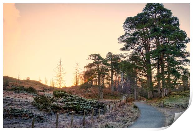November Sunrise: Tarn Hows Lake District Print by Tim Hill
