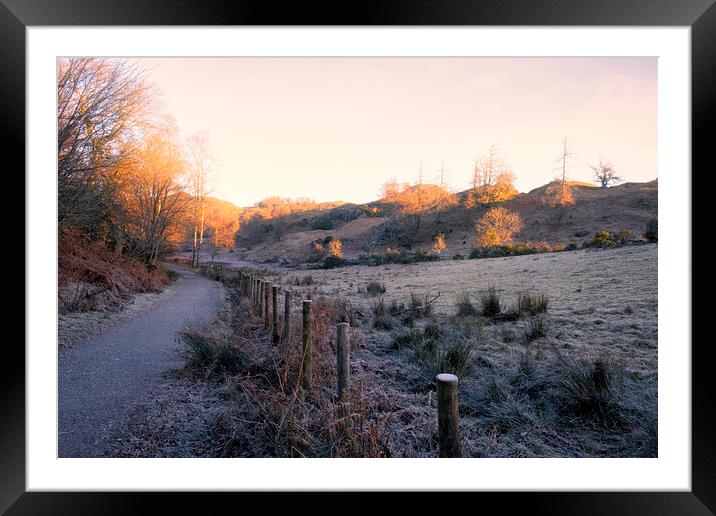 November Sunlight: Tarn Hows Lake District Framed Mounted Print by Tim Hill