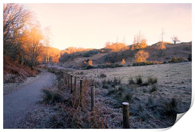 November Sunlight: Tarn Hows Lake District Print by Tim Hill