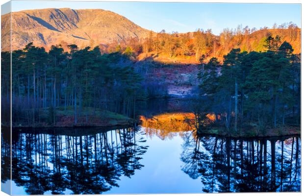 Tarn Hows Reflections: November Sunlight Canvas Print by Tim Hill