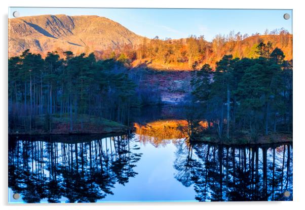 Tarn Hows Reflections: November Sunlight Acrylic by Tim Hill