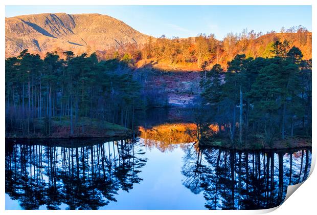 Tarn Hows Reflections: November Sunlight Print by Tim Hill