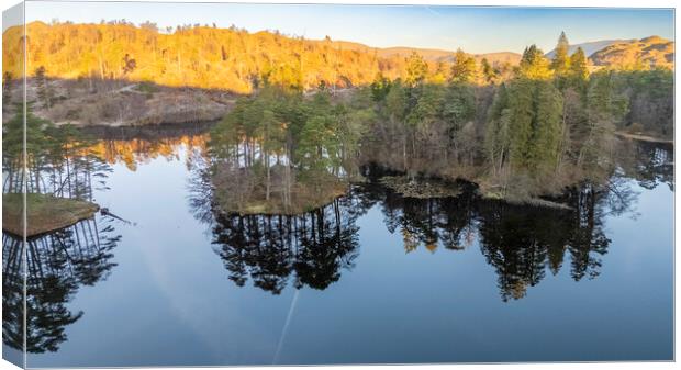 Early Morning Tarn Hows Canvas Print by Steve Smith