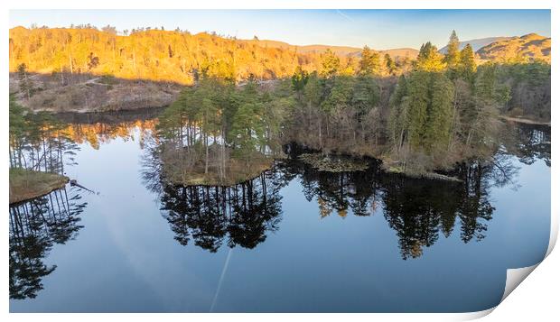 Early Morning Tarn Hows Print by Steve Smith