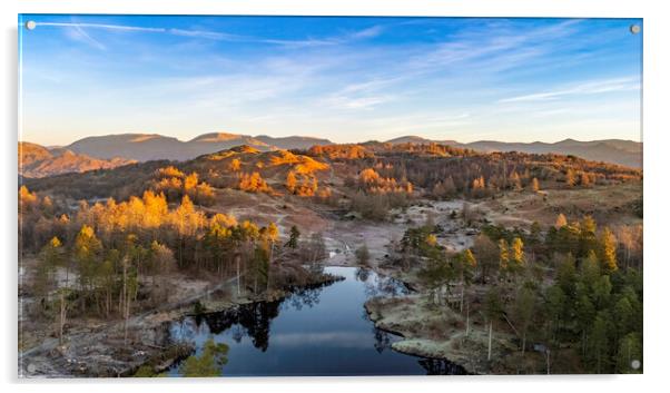 Tarns Hows Lake District Acrylic by Steve Smith