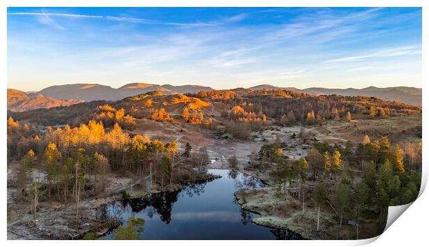 Tarns Hows Lake District Print by Steve Smith