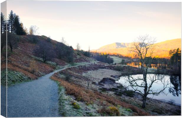 Tarn Hows Landscape: Lake District National Park Canvas Print by Tim Hill