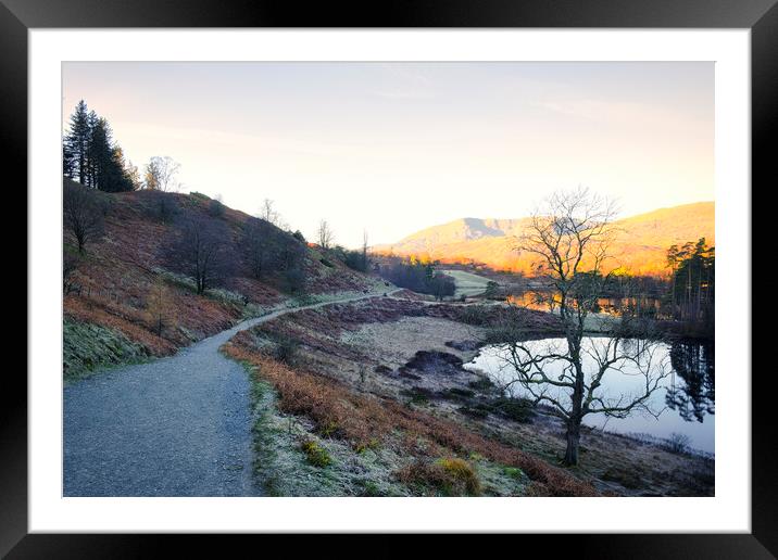 Tarn Hows Landscape: Lake District National Park Framed Mounted Print by Tim Hill