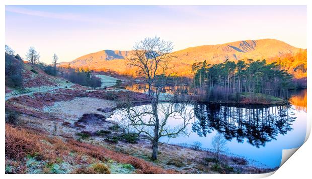 Tarn Hows Landscape: Lake District National Park Print by Tim Hill
