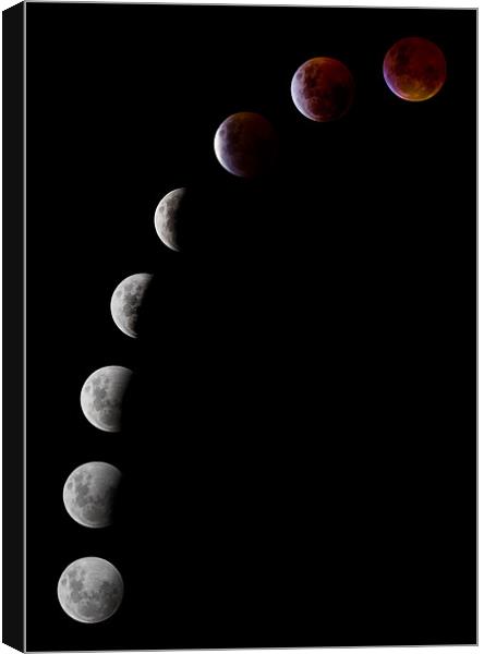 Lunar Eclipse Canvas Print by Sharpimage NET
