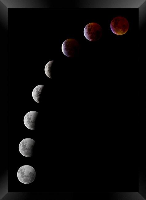 Lunar Eclipse Framed Print by Sharpimage NET