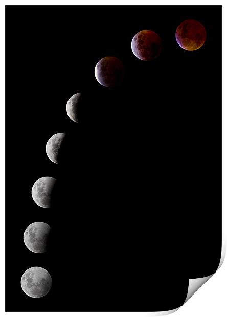 Lunar Eclipse Print by Sharpimage NET