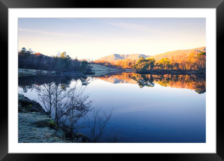 Tarn Hows Landscape: Lake District National Park Framed Mounted Print by Tim Hill
