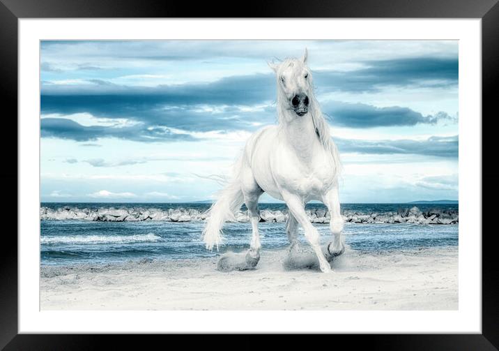 Freedom on the beach Framed Mounted Print by Helkoryo Photography