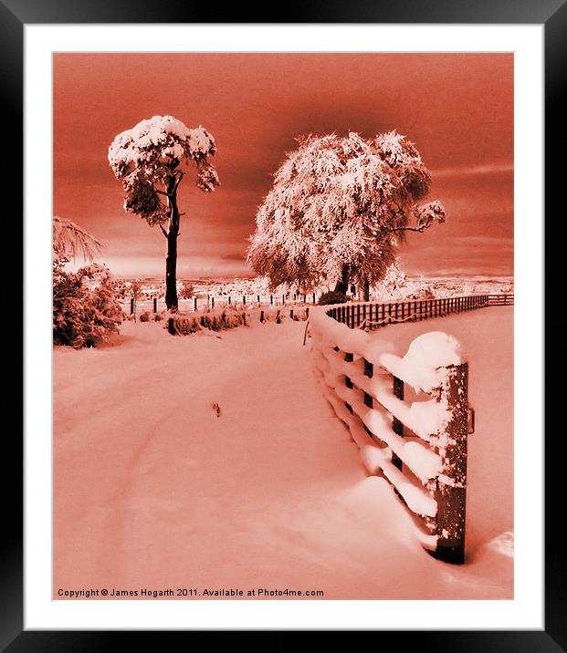 Pink Winter Framed Mounted Print by James Hogarth