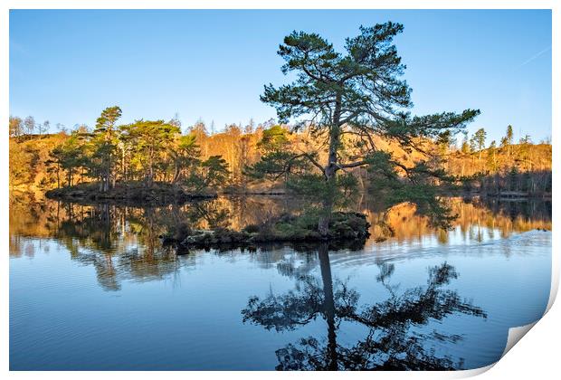 Tarns Hows Lake District Print by Steve Smith