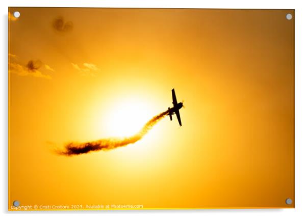 Airplane flying at sunset.  Acrylic by Cristi Croitoru