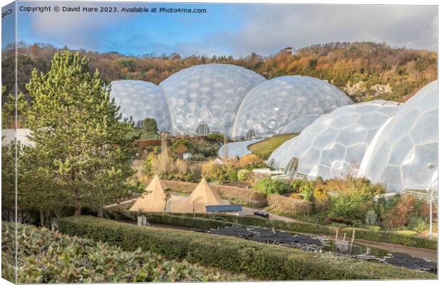 Eden Project Canvas Print by David Hare