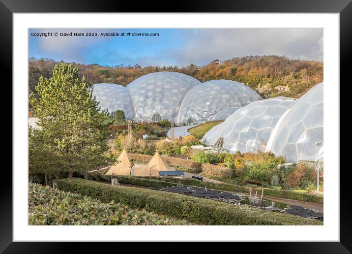 Eden Project Framed Mounted Print by David Hare