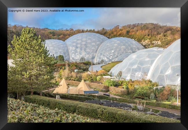 Eden Project Framed Print by David Hare