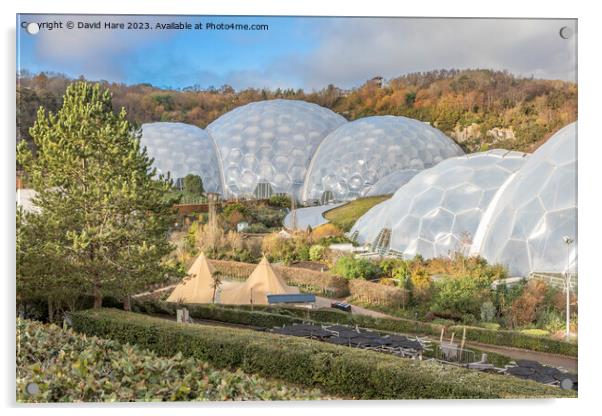 Eden Project Acrylic by David Hare