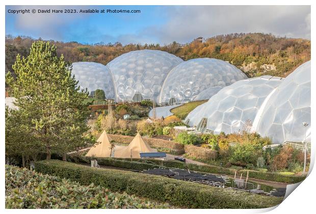 Eden Project Print by David Hare