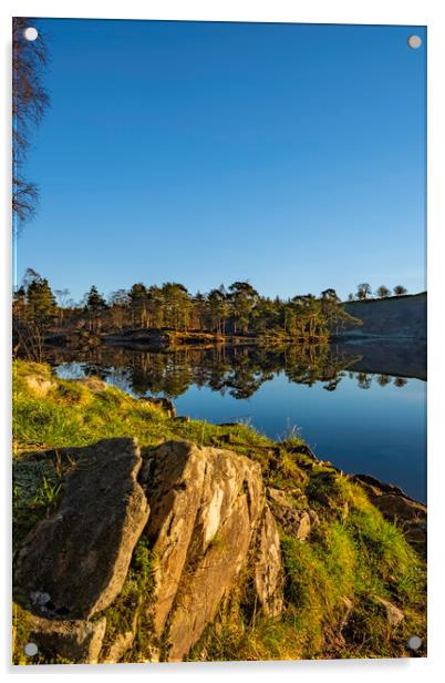 Tarns Hows Lake District Acrylic by Steve Smith