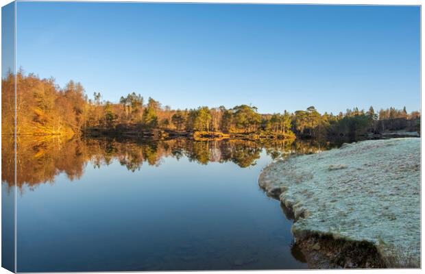 Tarns Hows Lake District Canvas Print by Steve Smith