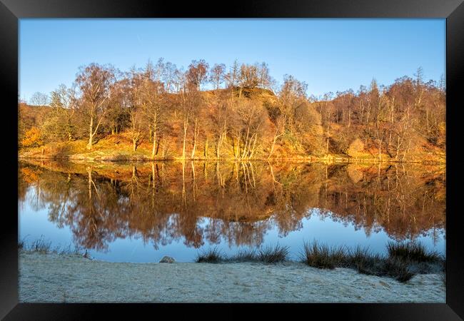 Tarns Hows Lake District Framed Print by Steve Smith