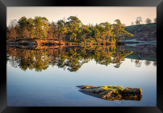Tarn Hows Reflections Framed Print by Tim Hill