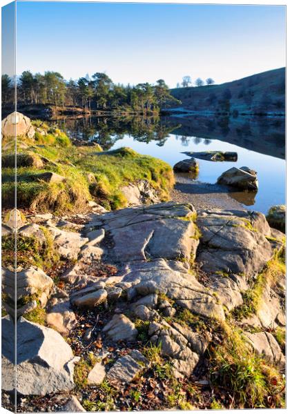 Tarn Hows Landscape: Lake District Canvas Print by Tim Hill