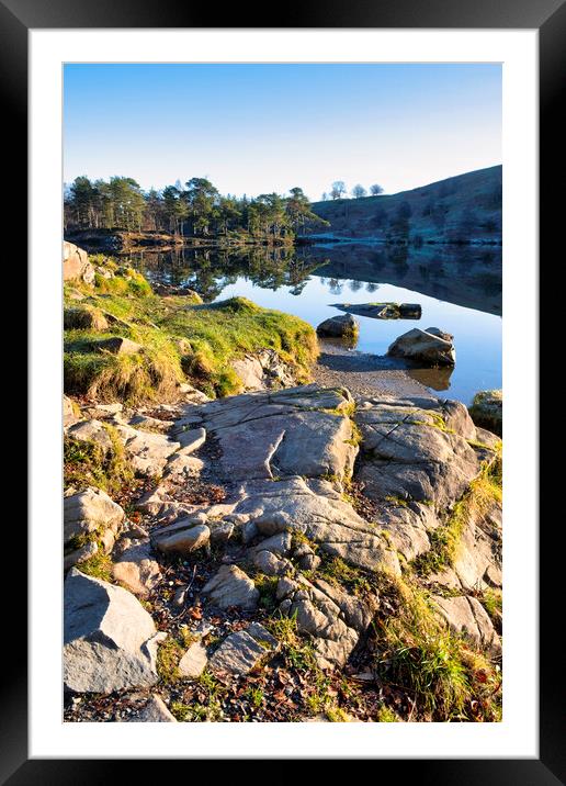 Tarn Hows Landscape: Lake District Framed Mounted Print by Tim Hill
