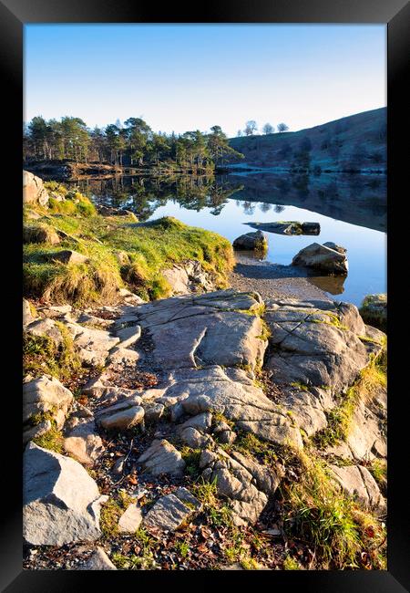 Tarn Hows Landscape: Lake District Framed Print by Tim Hill