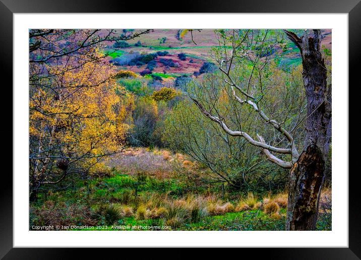 Autumn in Snowdonia Framed Mounted Print by Ian Donaldson