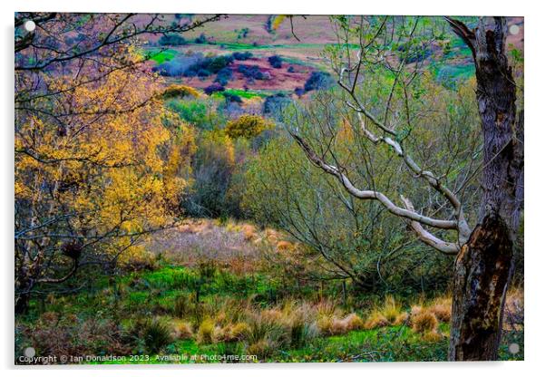 Autumn in Snowdonia Acrylic by Ian Donaldson