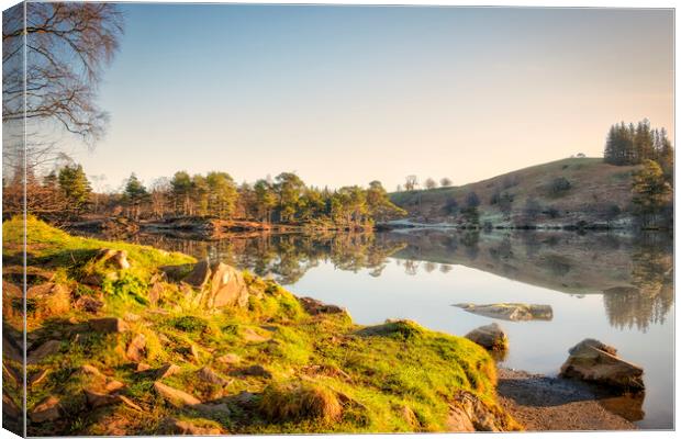 Tarn Hows Landscape: Lake District Canvas Print by Tim Hill