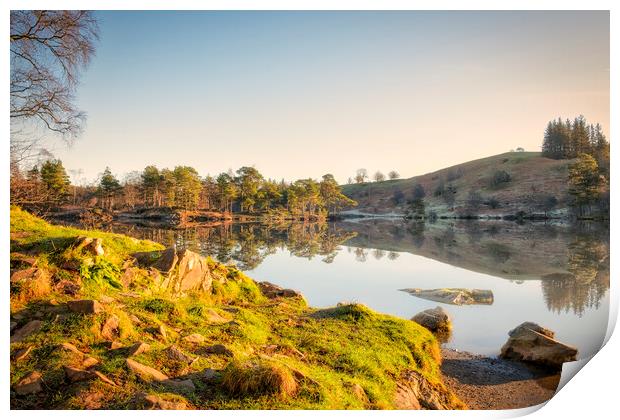 Tarn Hows Landscape: Lake District Print by Tim Hill