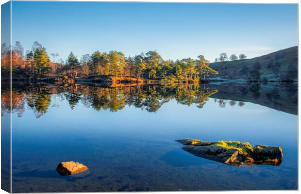 Tarn Hows Reflections: No wind, bliss! Canvas Print by Tim Hill