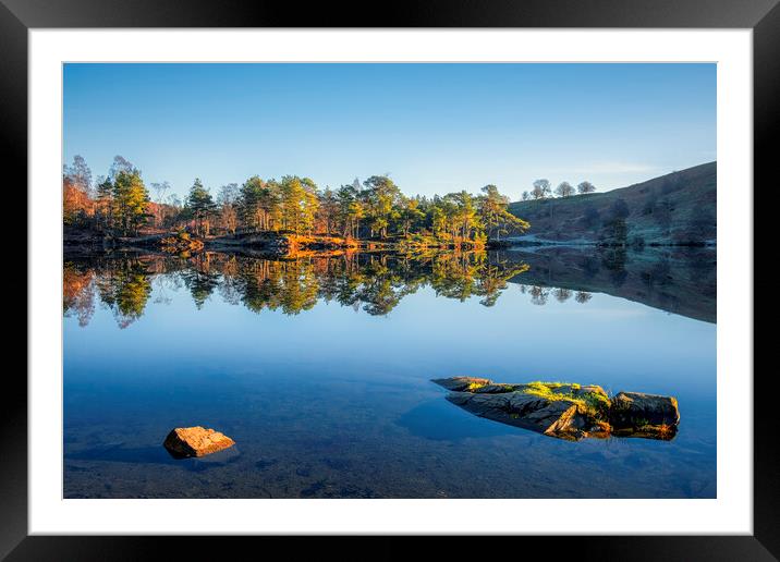 Tarn Hows Reflections: No wind, bliss! Framed Mounted Print by Tim Hill