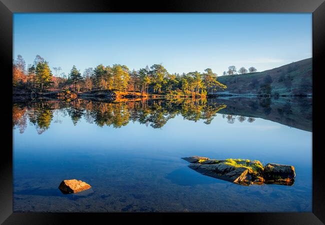 Tarn Hows Reflections: No wind, bliss! Framed Print by Tim Hill