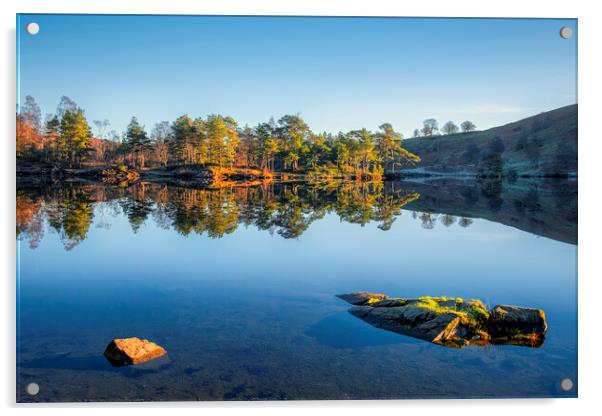 Tarn Hows Reflections: No wind, bliss! Acrylic by Tim Hill