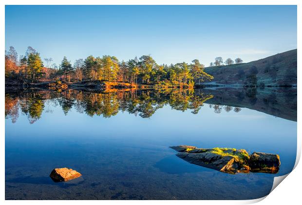 Tarn Hows Reflections: No wind, bliss! Print by Tim Hill