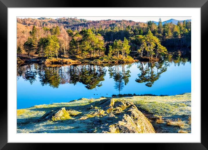 Stunning Tarn Hows: Lake District Landscape Framed Mounted Print by Tim Hill
